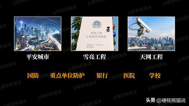 华IM电竞 IM电竞app为安防芯片悲歌：用3年突破芯片封锁捧起众多国产企业(图5)