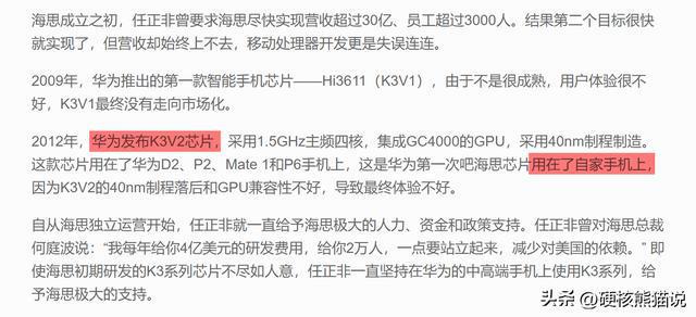 华IM电竞 IM电竞app为安防芯片悲歌：用3年突破芯片封锁捧起众多国产企业(图18)