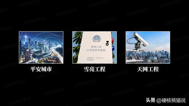 华IM电竞 IM电竞app为安防芯片悲歌：用3年突破芯片封锁捧起众多国产企业(图12)