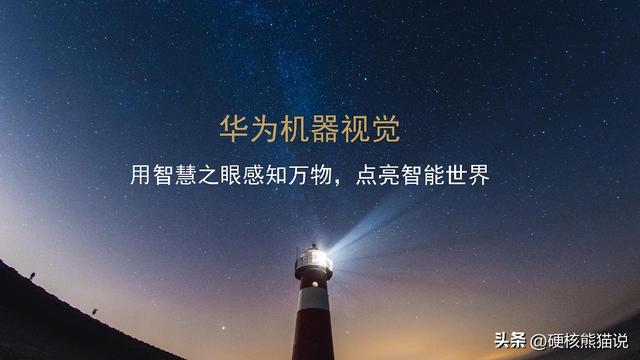 华IM电竞 IM电竞app为安防芯片悲歌：用3年突破芯片封锁捧起众多国产企业(图25)