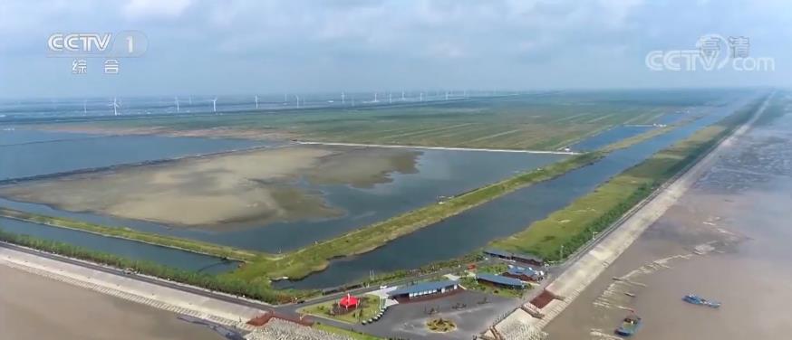 【人与自然和谐共生】中国的生物多样性保护IM电竞 IM电竞app取得显著成效(图6)