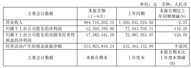 王力安防上半年营收995亿元 同比下滑2IM电竞 IM电竞app57%(图1)