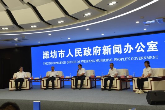 IM电竞 IM电竞app中心城区制造业发展的“奎文路径”(图3)