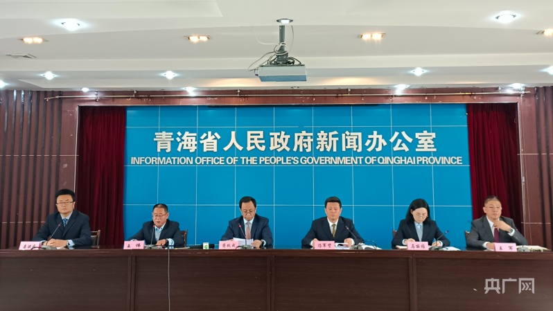 青海这十年民政事业创新发IM电竞 IM电竞平台展 民政服务保障能力全面增强(图1)