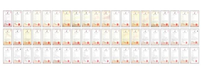 600多项专利加身王力安防IM电竞 IM电竞app创新树立业内科技标杆(图4)