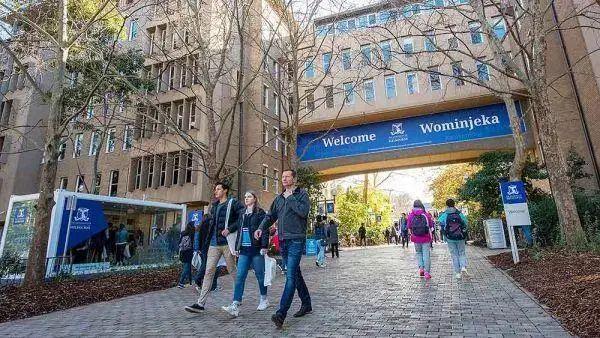 IM电竞 电子竞技平台一起走近享有极高国际声誉的墨尔本大学商学院和法学院(图4)