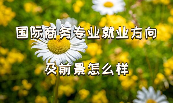 IM电竞 电子竞技平台国际商务专业就业方向及前景怎么样？(图1)