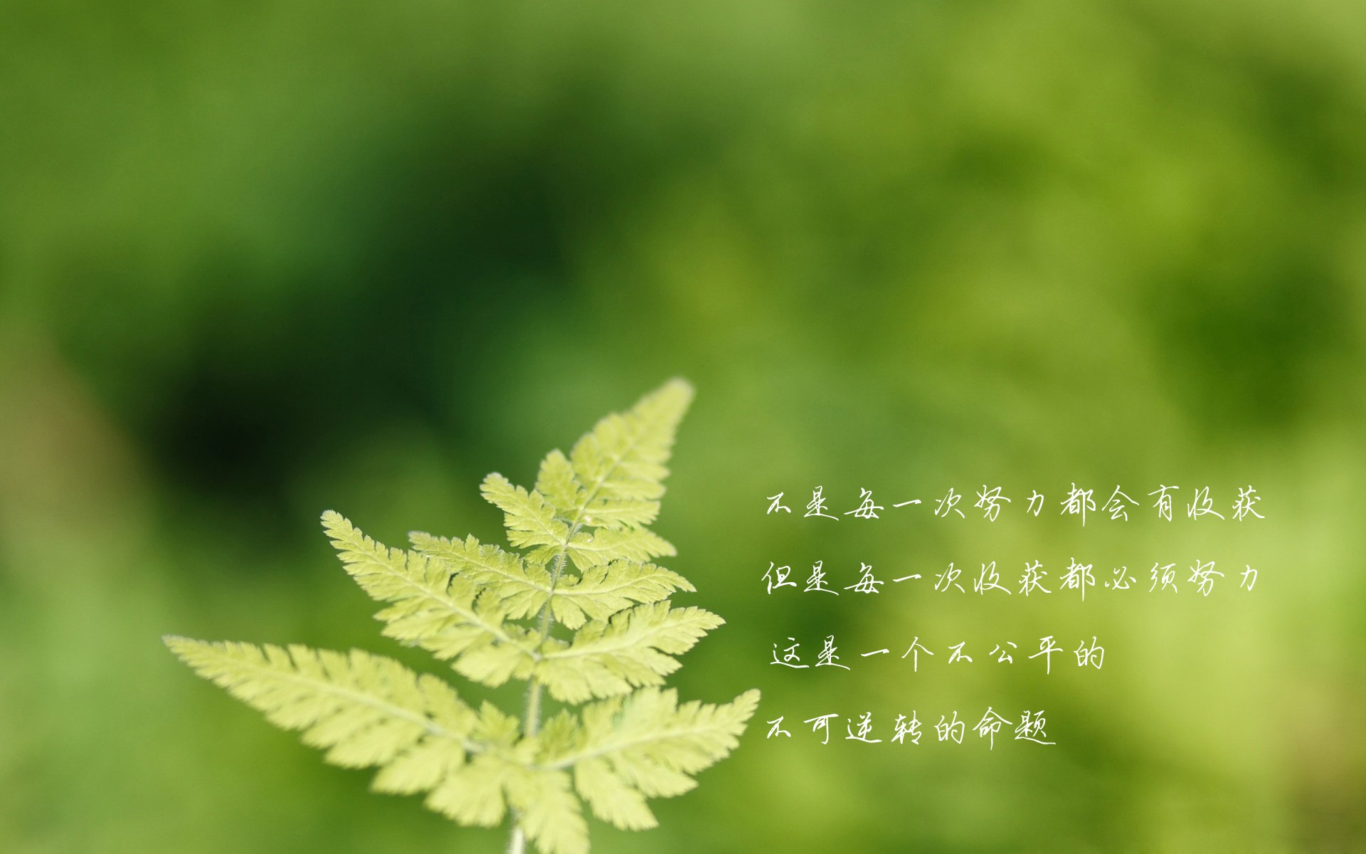 IM电竞 IM电竞app北京大学国际商务硕士专业考研经验-考研真题-参考书-复试分数线-招生目录(图2)