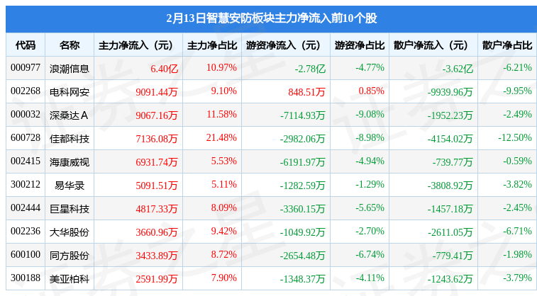 智慧安防板块2月13日涨079%浪潮信息领涨主力资金净流入314亿元IM电竞 IM电竞平台(图3)