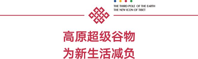 IM电竞 IM电竞平台地球第三极品牌行业协会 正宗藏族年味你不容错过的年货好物(图9)