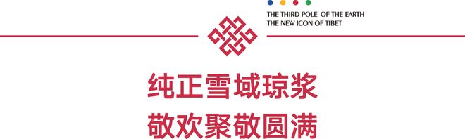 IM电竞 IM电竞平台地球第三极品牌行业协会 正宗藏族年味你不容错过的年货好物(图3)