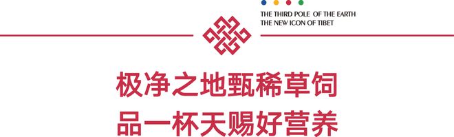 IM电竞 IM电竞平台地球第三极品牌行业协会 正宗藏族年味你不容错过的年货好物(图5)