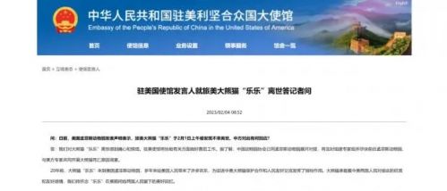 IM电竞 电子竞技平台大熊猫“乐乐”离世 网友呼吁接回旅美大熊猫“丫丫” 中国动物园协会回应(图1)