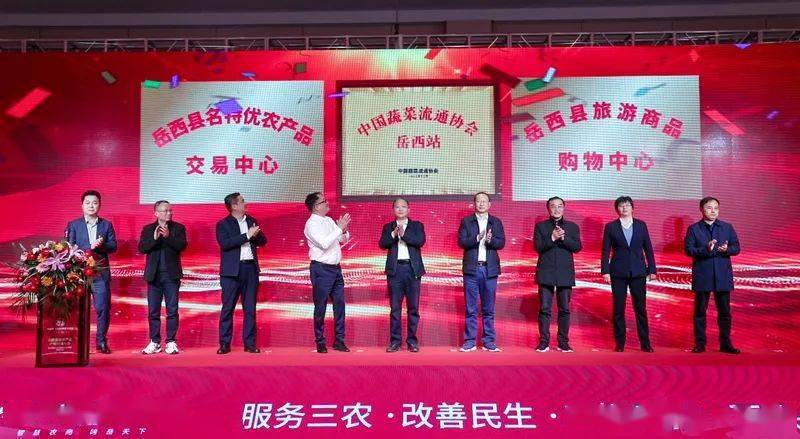 中国蔬IM电竞 IM电竞app菜流通协会岳西站揭牌(图1)