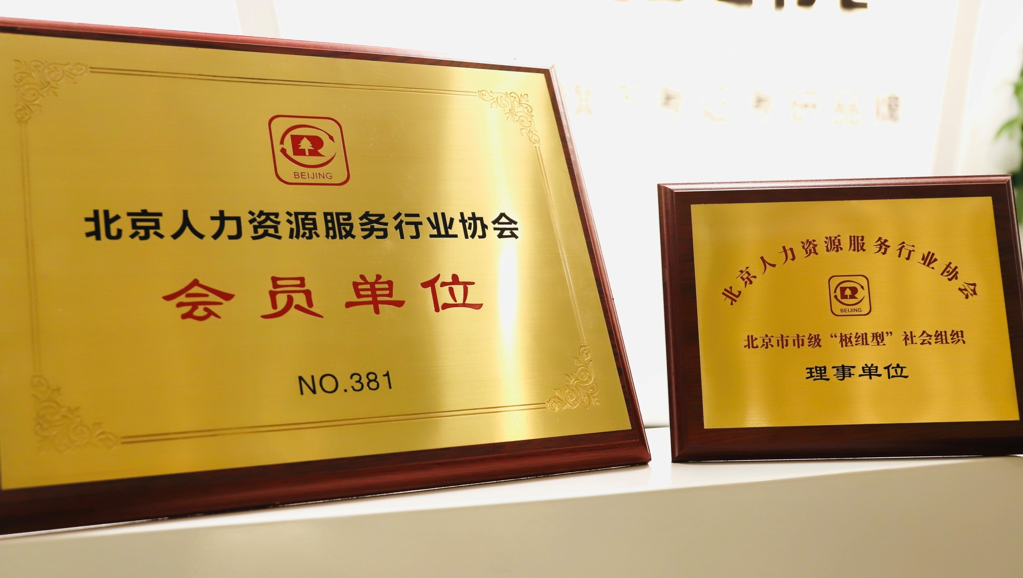 赛优教育成为人力资IM电竞 IM电竞平台源服务行业协会会员(图3)