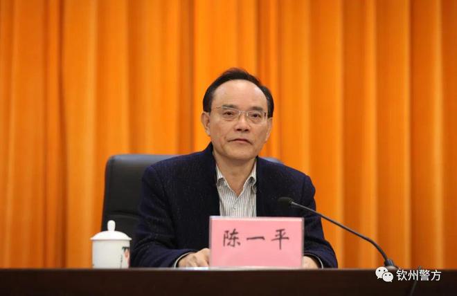 陈一平吴永辉出席钦州市警察协会第三届会员代表大会IM电竞 电子竞技平台(图1)