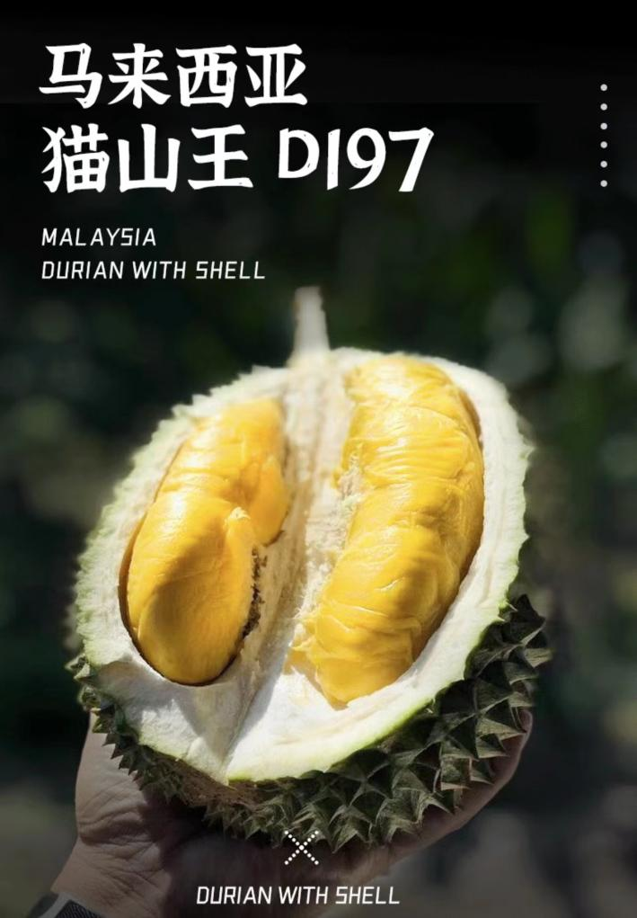 IM电竞 电子竞技平台马来西亚旅游、艺术和文化部长到访京东 京东超市国家馆将上线马来西亚旅游产品(图4)