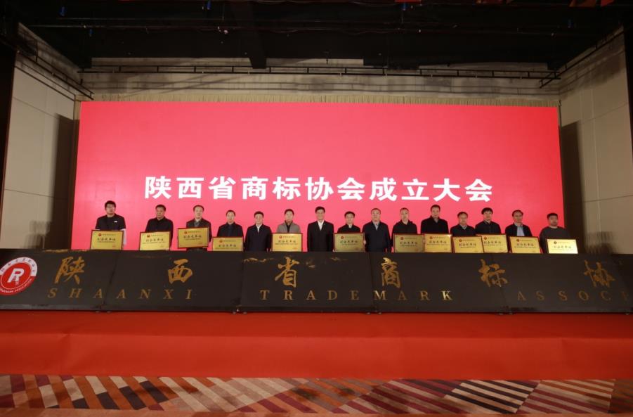 IM电竞 IM电竞app陕西省商标协会成立大会暨第一次会员大会召开(图2)