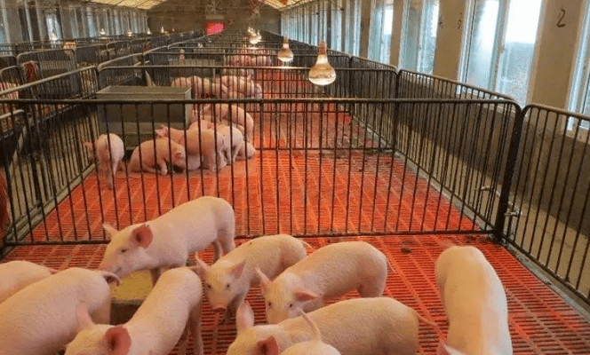 IM电竞 IM电竞app张雪峰没说出口的3种大学专业听着很冷门其实很吃香！(图7)