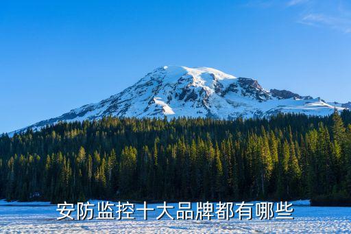 安防监控品牌排行榜前十名安防监控系统品牌前IM电竞 IM电竞app十强是哪些(图1)