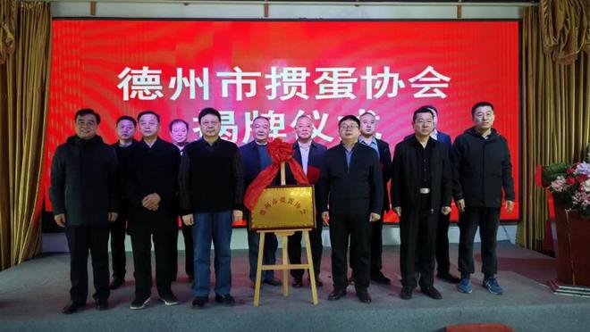 IM电竞 IM电竞平台德州市掼蛋协会成立(图1)
