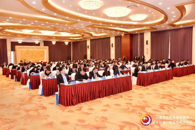 IM电竞 IM电竞app云南省青年企业家协会第九届第一次会员代表大会召开(图2)